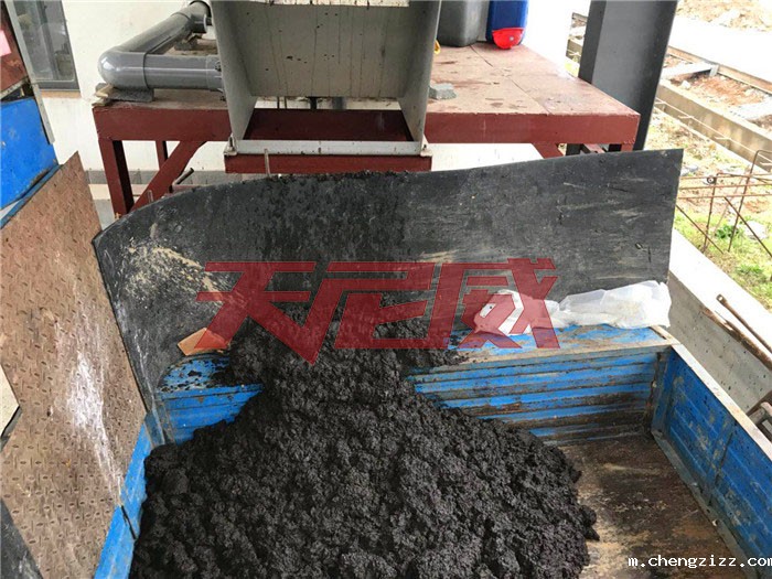 米兰体育官方下载入口app垃圾厂污泥脱水处理