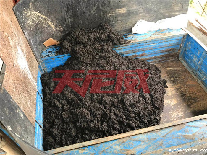 米兰体育官方下载入口app垃圾厂污泥脱水处理